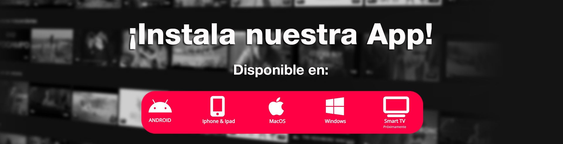 Publicidad